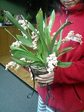 090225_2105~0001.jpg
