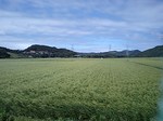CA360072.jpg