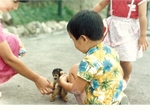monkey.jpg